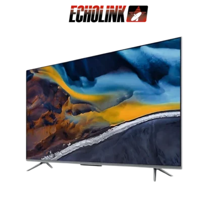 DIGITRONICS ECHOLINK - 55Q70