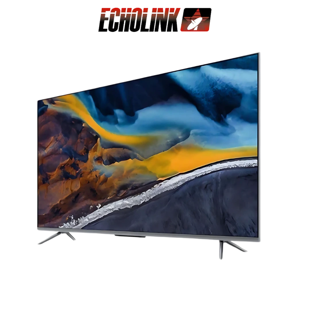 55Q70 DIGITRONICS ECHOLINK - 55Q70