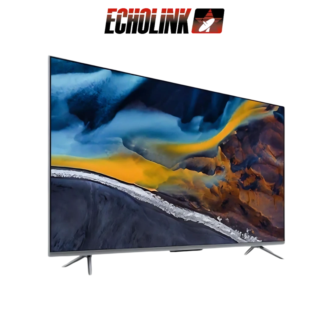 55Q70 DIGITRONICS ECHOLINK - 55Q70