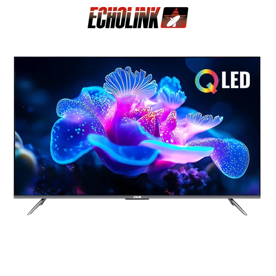 55Q70 DIGITRONICS ECHOLINK - 55Q70